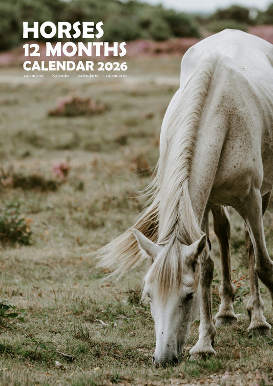 Horse Calendar 2026 – M-PRA Range