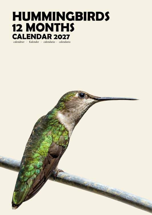 Hummingbirds Calendar 2027 – M-PRA Range