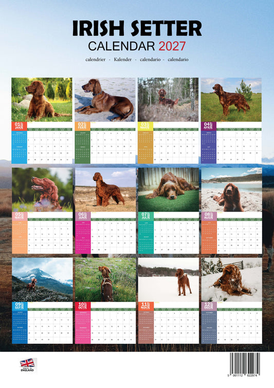 Irish Setter Dog Calendar 2027 – M-PRA Range