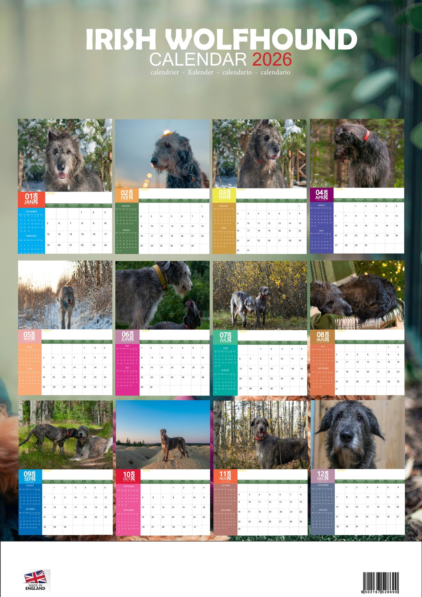 Irish Wolfhound Dog Calendar 2026 – M-PRA Range