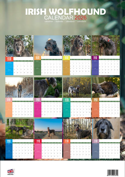Irish Wolfhound Dog Calendar 2026 – M-PRA Range