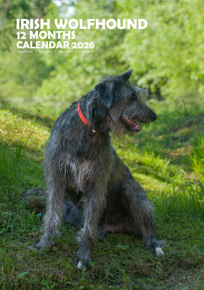Irish Wolfhound Dog Calendar 2026 – M-PRA Range
