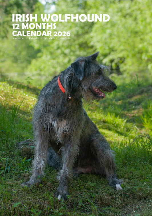 Irish Wolfhound Dog Calendar 2026 – M-PRA Range