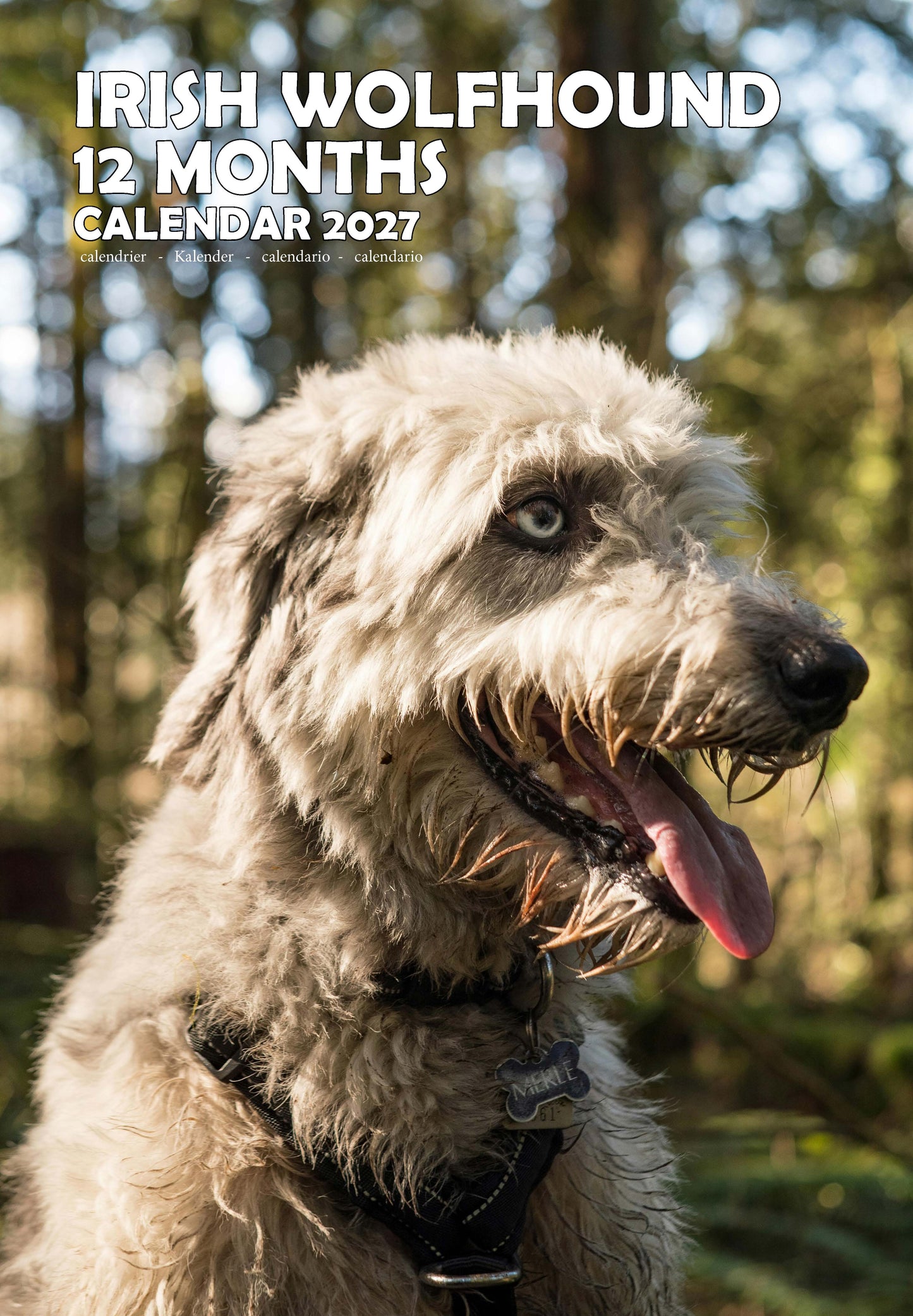 Irish Wolfhound Dog Calendar 2027 – M-PRA Range