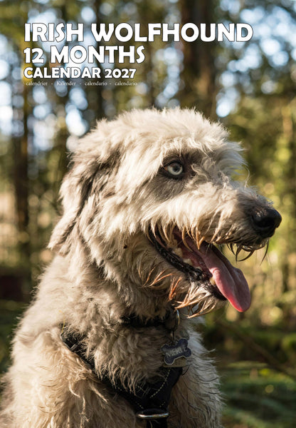 Irish Wolfhound Dog Calendar 2027 – M-PRA Range