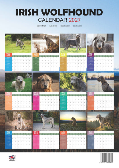 Irish Wolfhound Dog Calendar 2027 – M-PRA Range