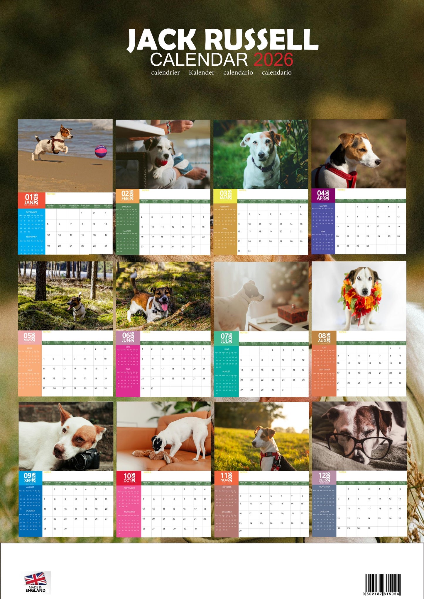 Jack Russell Dog Calendar 2026 – M-PRA Range