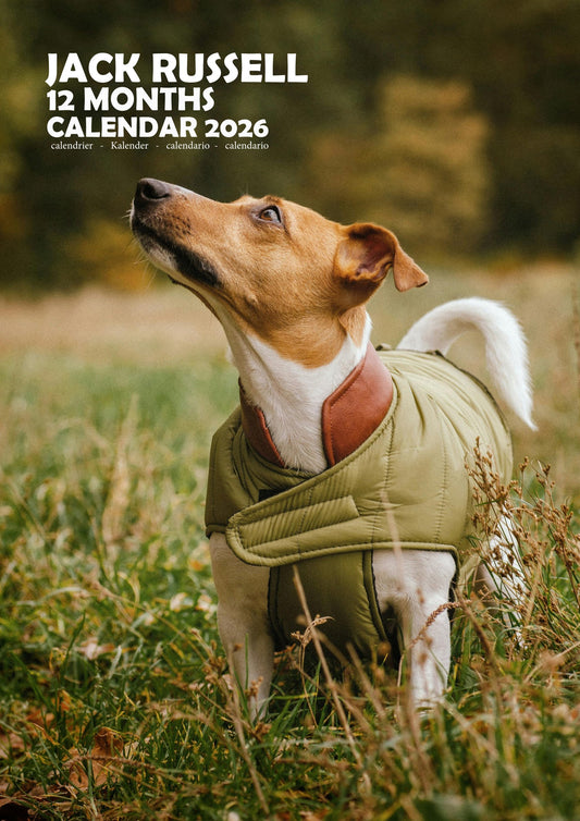 Jack Russell Dog Calendar 2026 – M-PRA Range