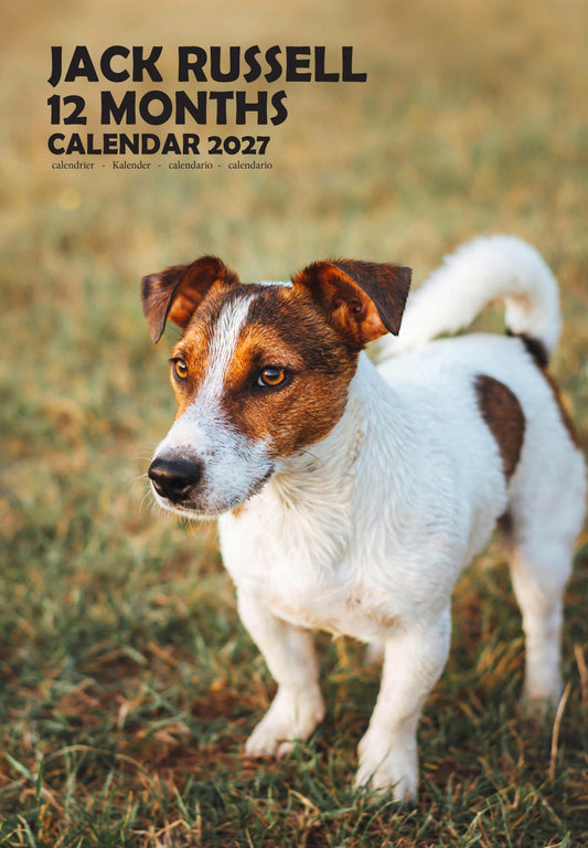 Jack Russell Dog Calendar 2027 – M-PRA Range