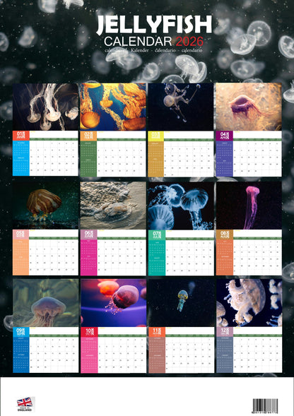 Jellyfish Calendar 2026 – M-PRA Range