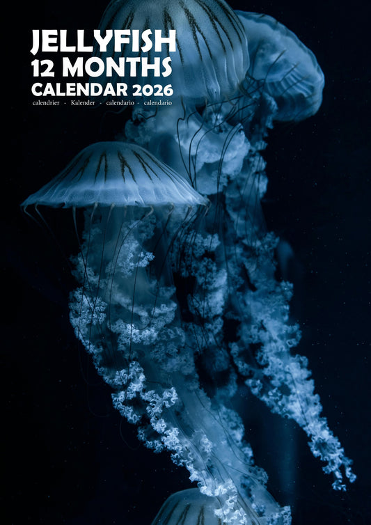 Jellyfish Calendar 2026 – M-PRA Range