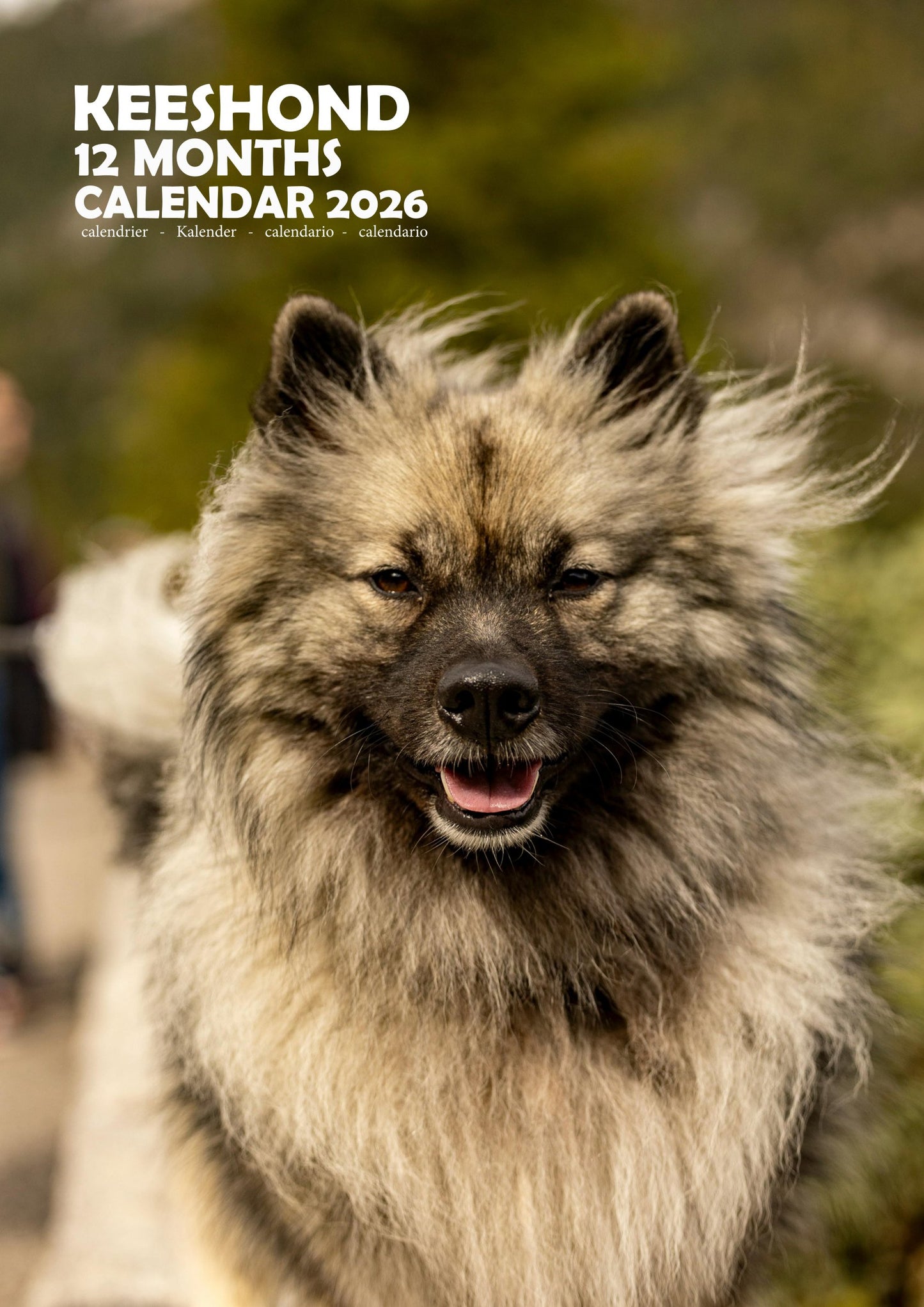 Keeshond Dog Calendar 2026 – M-PRA Range
