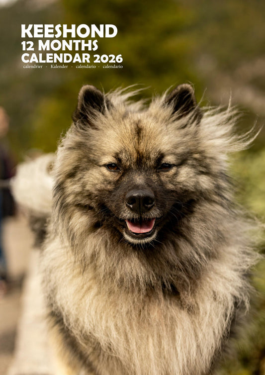 Keeshond Dog Calendar 2026 – M-PRA Range