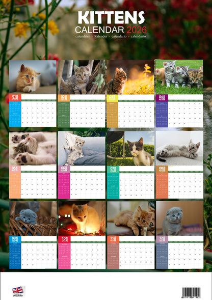Kittens Cats Calendar 2026 – M-PRA Range