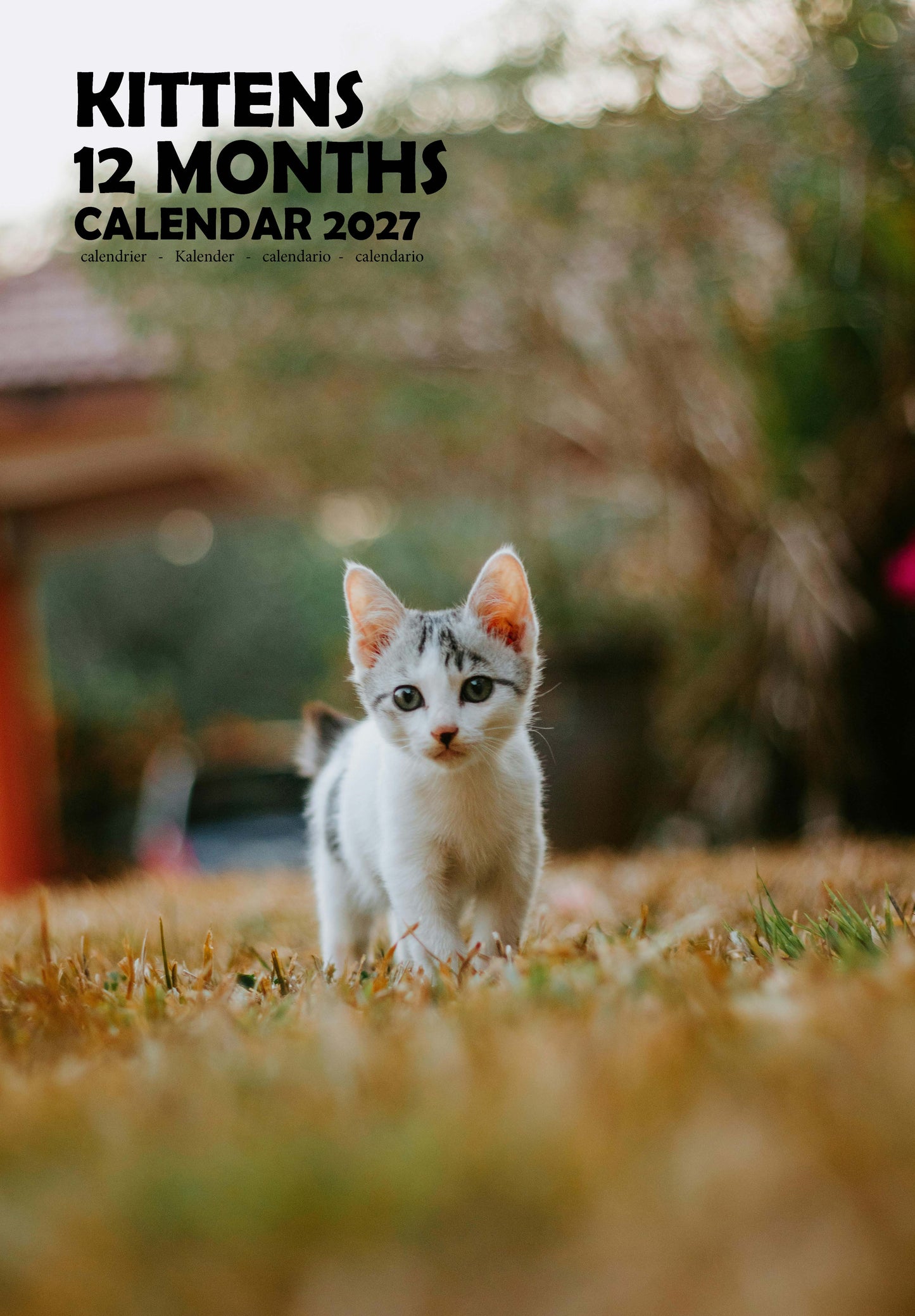 Kittens Calendar 2027 – M-PRA Range