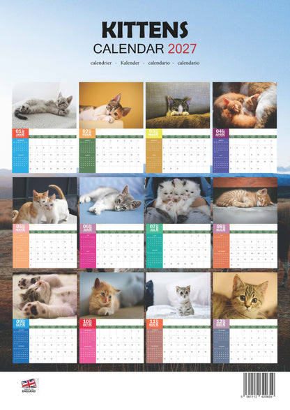 Kittens Calendar 2027 – M-PRA Range