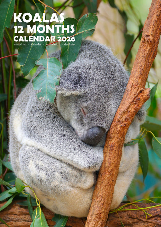 Koalas Calendar 2026 – M-PRA Range