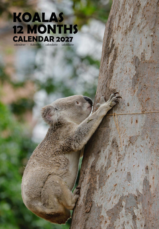 Koalas Calendar 2027 – M-PRA Range