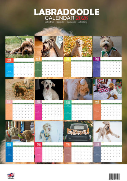 Labradoodle Dog Calendar 2026 – M-PRA Range