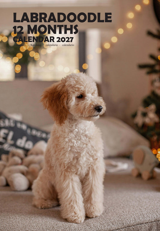 Labradoodle Dog Calendar 2027 – M-PRA Range