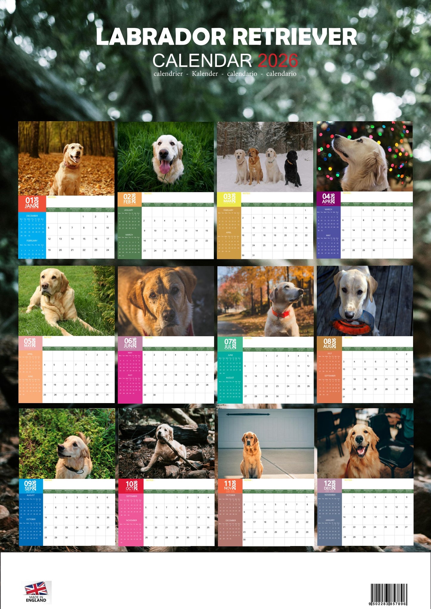 Labrador Retriever Dog Calendar 2026 – M-PRA Range
