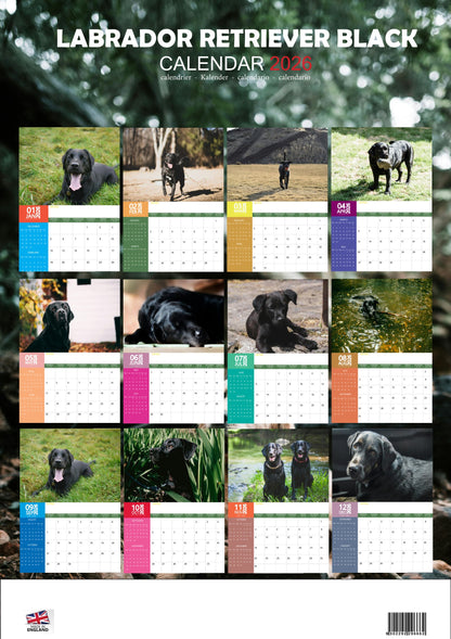 Labrador Retriever Black Dog Calendar 2026 – M-PRA Range