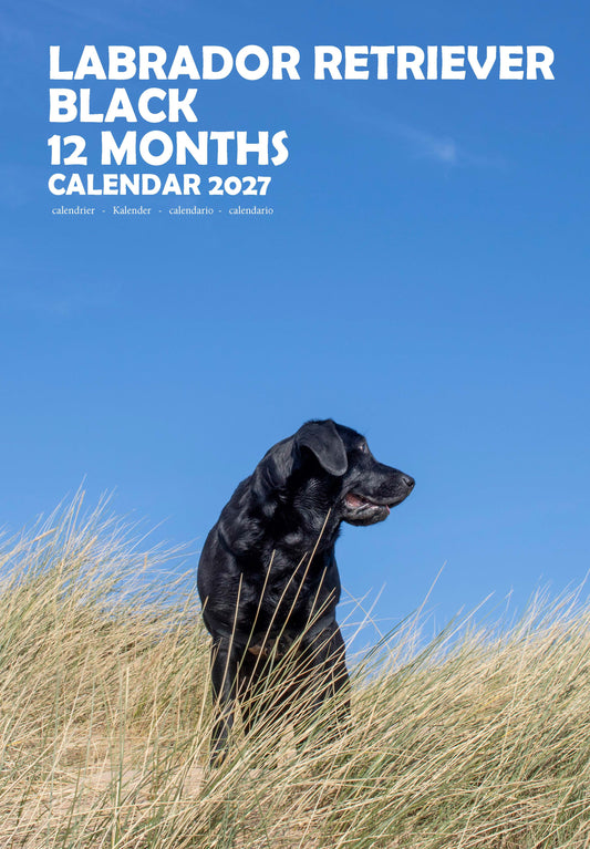 Labrador Retriever Black Dog Calendar 2027 – M-PRA Range
