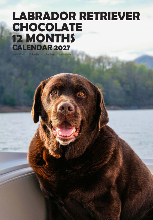 Labrador Retriever Chocolate Dog Calendar 2027 – M-PRA Range