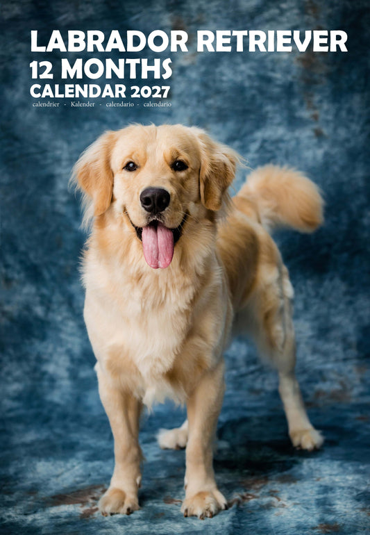 Labrador Retriever Dog Calendar 2027 – M-PRA Range