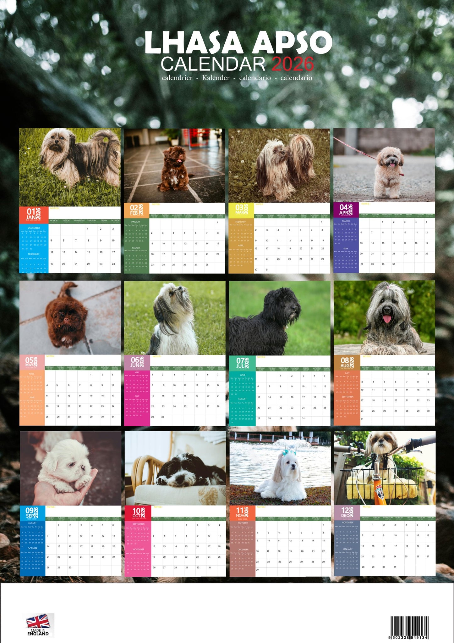 Lhasa Apso Dog Calendar 2026 – M-PRA Range