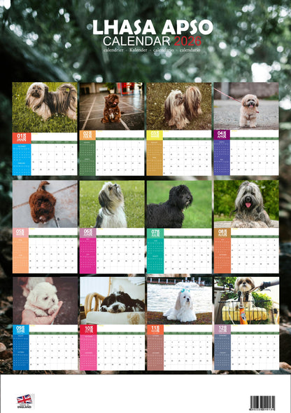 Lhasa Apso Dog Calendar 2026 – M-PRA Range