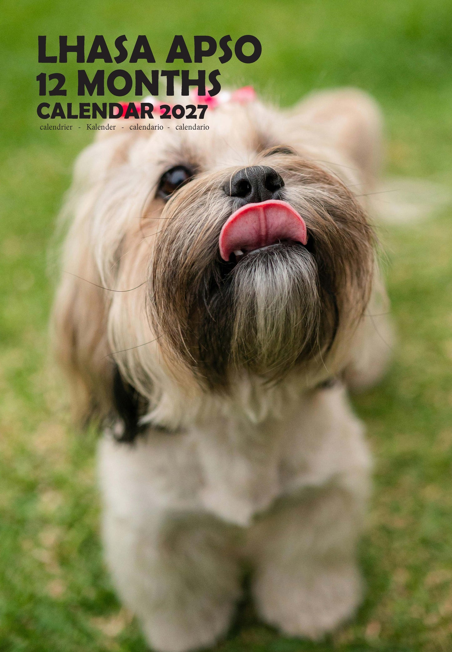 Lhasa Apso Dog Calendar 2027 – M-PRA Range