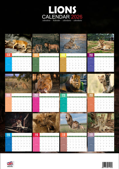 Lions Calendar 2026 – M-PRA Range