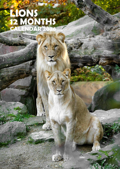 Lions Calendar 2026 – M-PRA Range