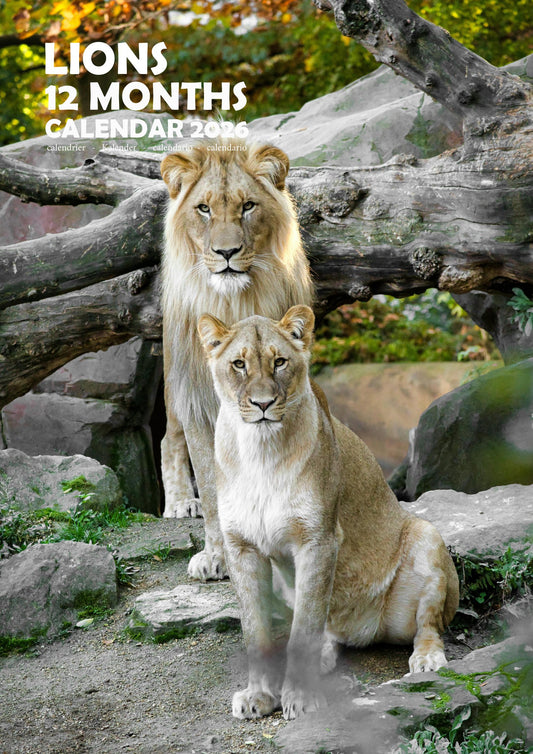 Lions Calendar 2026 – M-PRA Range
