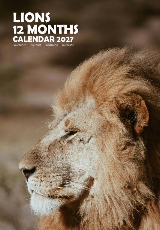 Lions Calendar 2027 – M-PRA Range