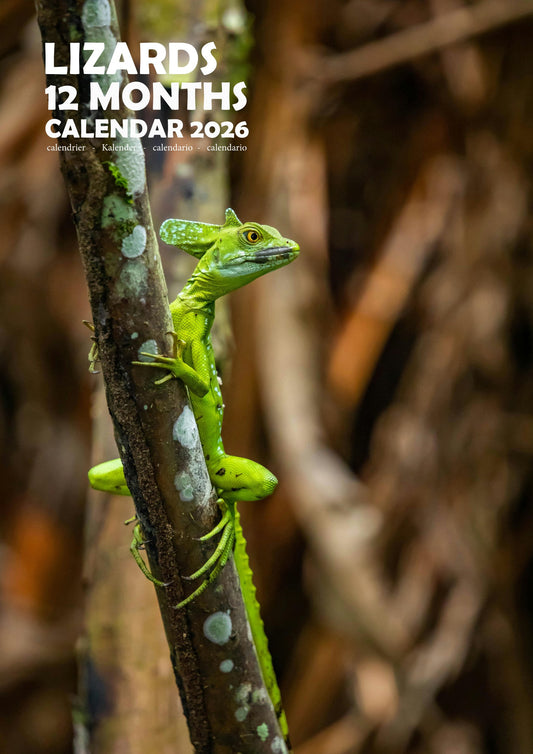 Lizard Calendar 2026 – M-PRA Range