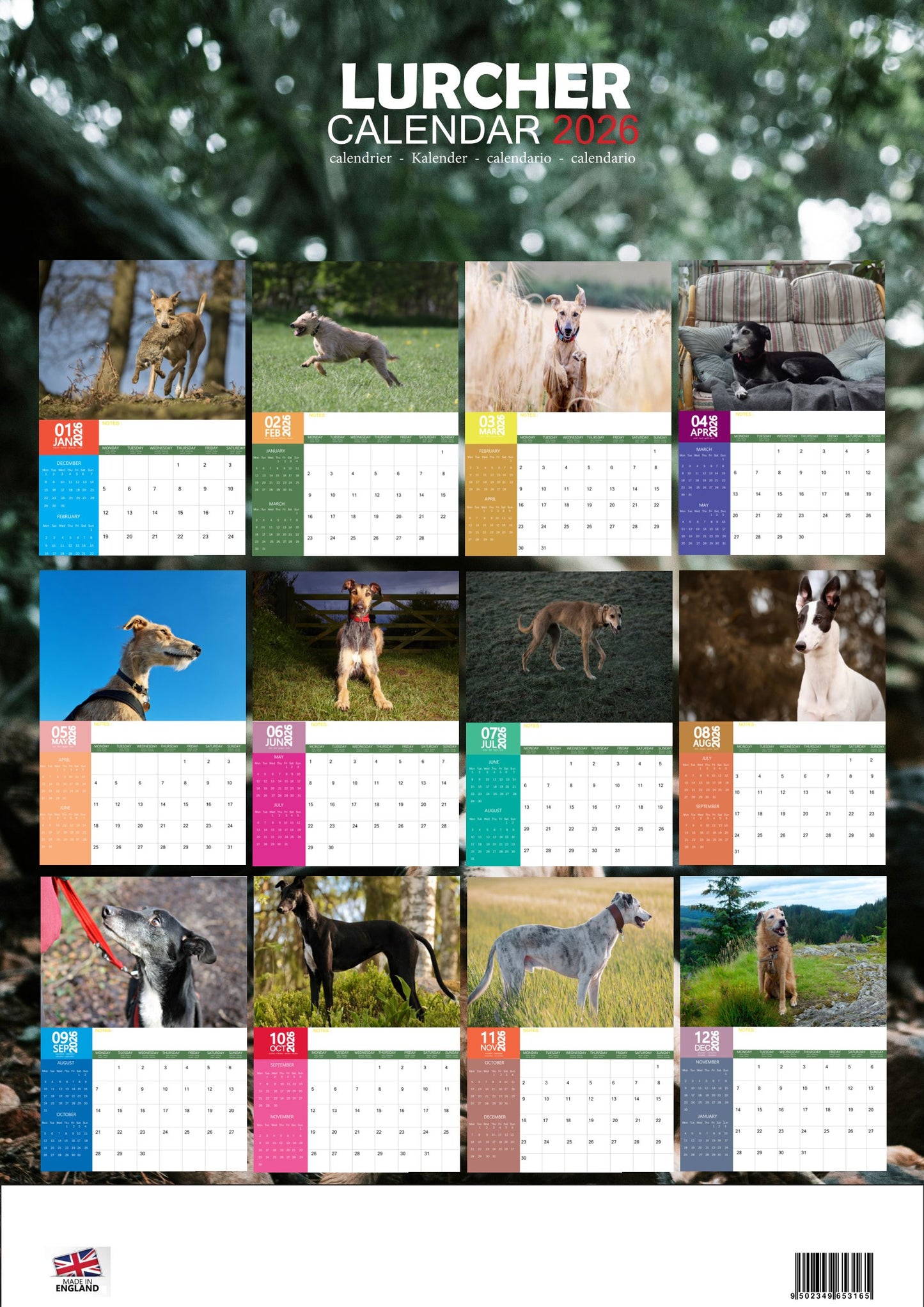 Lurcher Dog Calendar 2026 – M-PRA Range