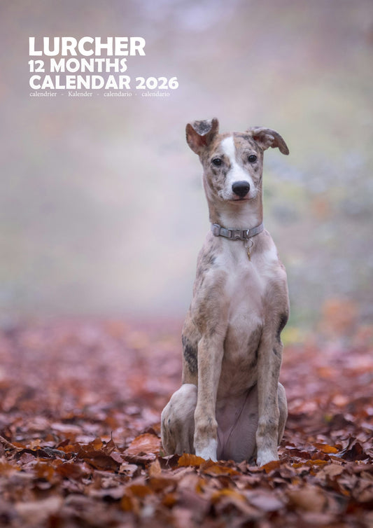 Lurcher Dog Calendar 2026 – M-PRA Range