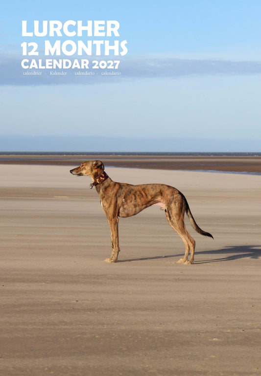 Lurcher Dog Calendar 2027 – M-PRA Range