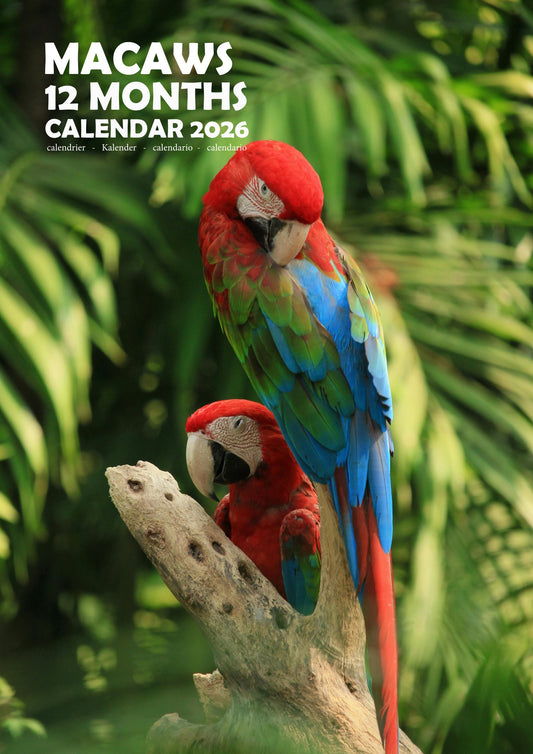 Macaws Calendar 2026 – M-PRA Range