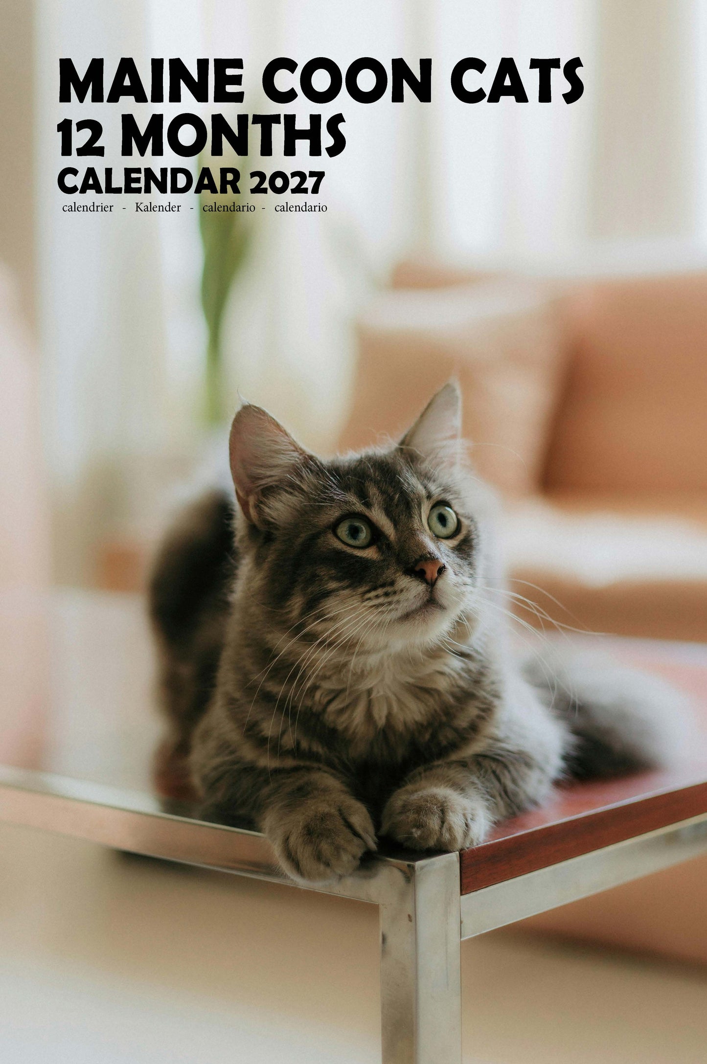 Maine Coon Cats Calendar 2027 – M-PRA Range