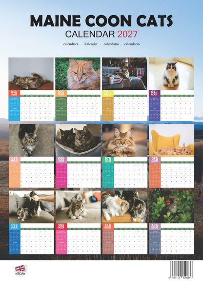 Maine Coon Cats Calendar 2027 – M-PRA Range