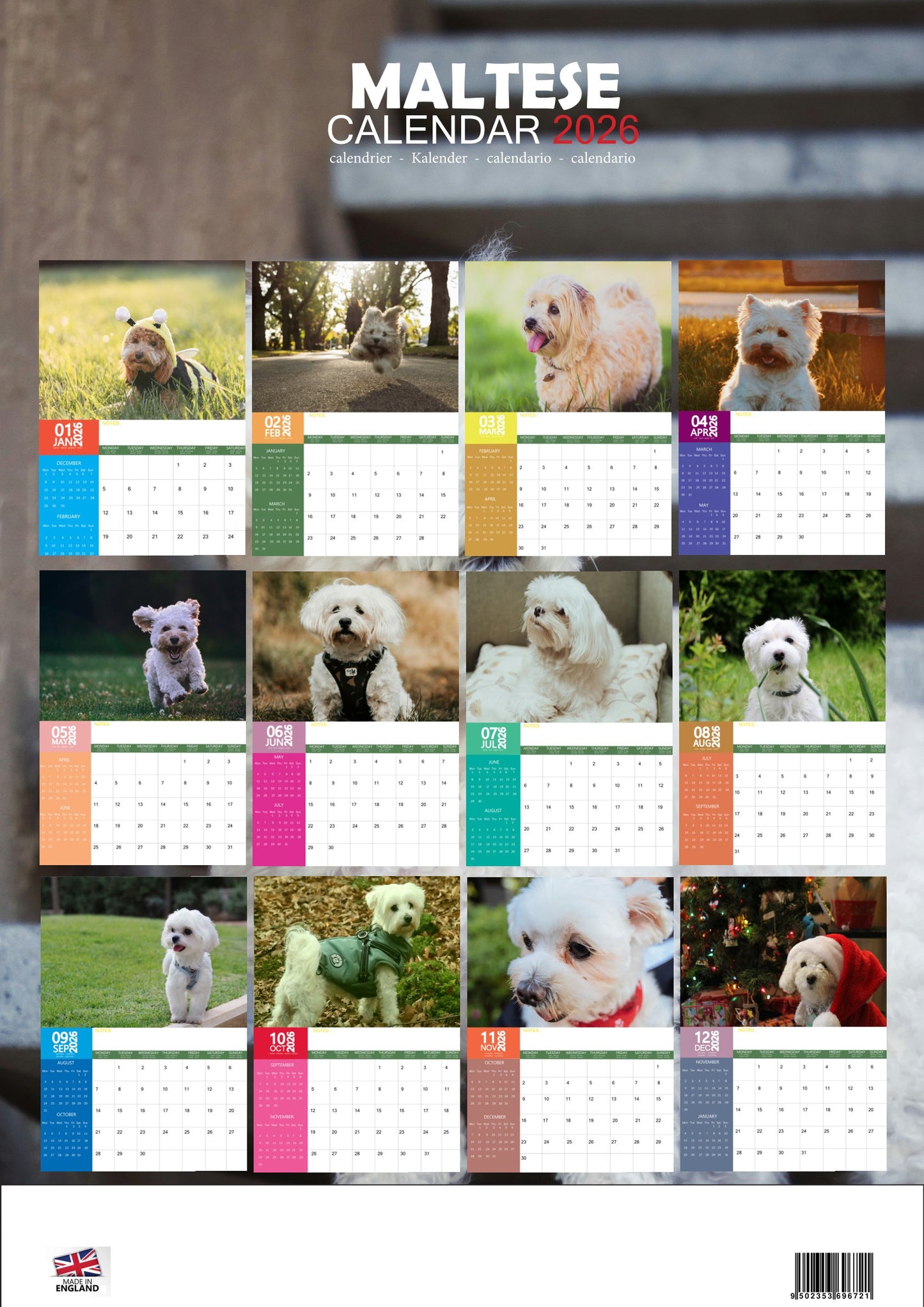 Maltese Dog Calendar 2026 – M-PRA Range