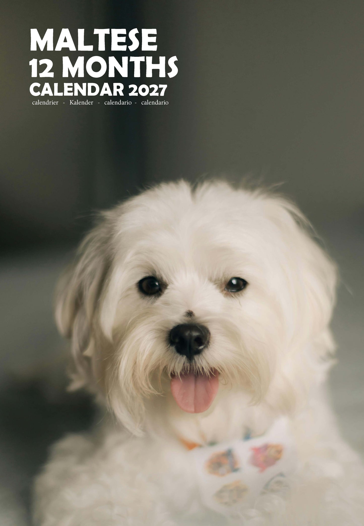 Maltese Dog Calendar 2027 – M-PRA Range