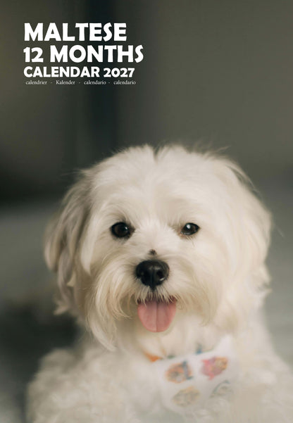 Maltese Dog Calendar 2027 – M-PRA Range