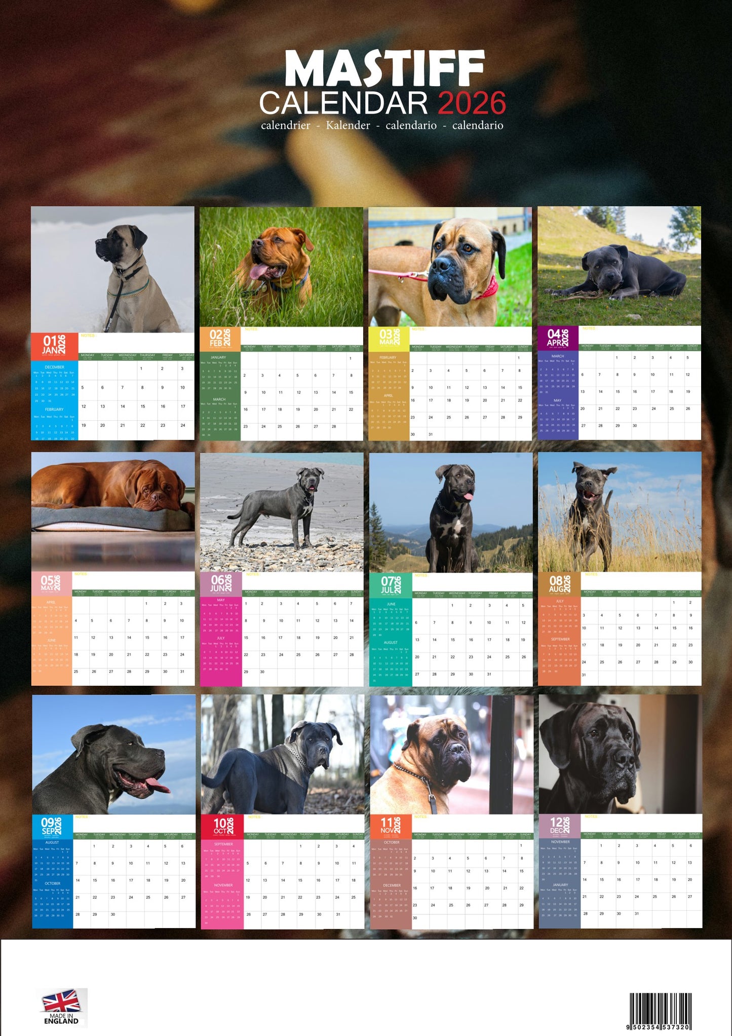 Mastiff Dog Calendar 2026 – M-PRA Range