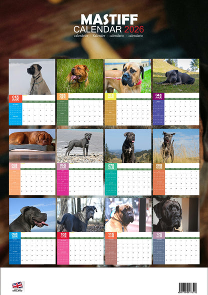 Mastiff Dog Calendar 2026 – M-PRA Range