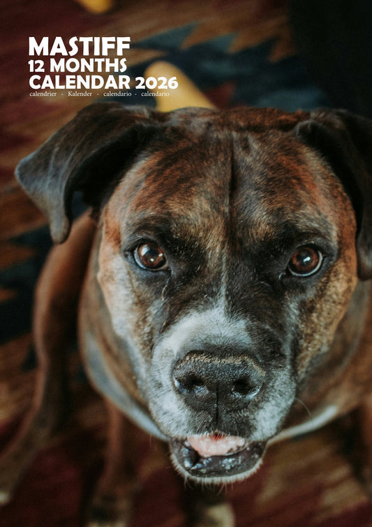 Mastiff Dog Calendar 2026 – M-PRA Range