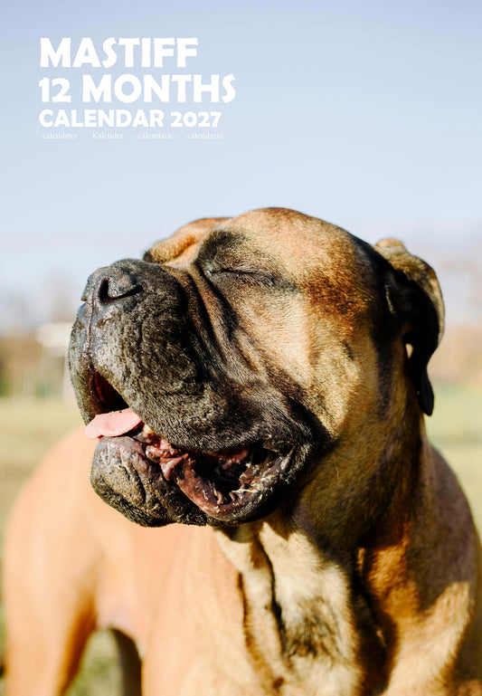 Mastiff Dog Calendar 2027 – M-PRA Range